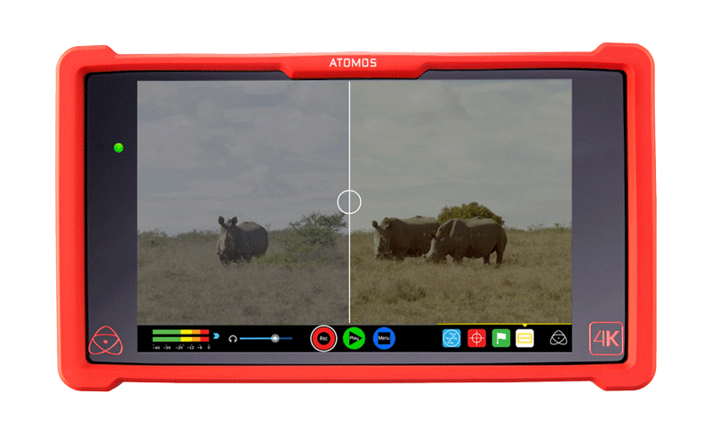 étalonnage vidéo atomos lut preview
